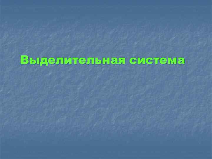 Выделительная система 