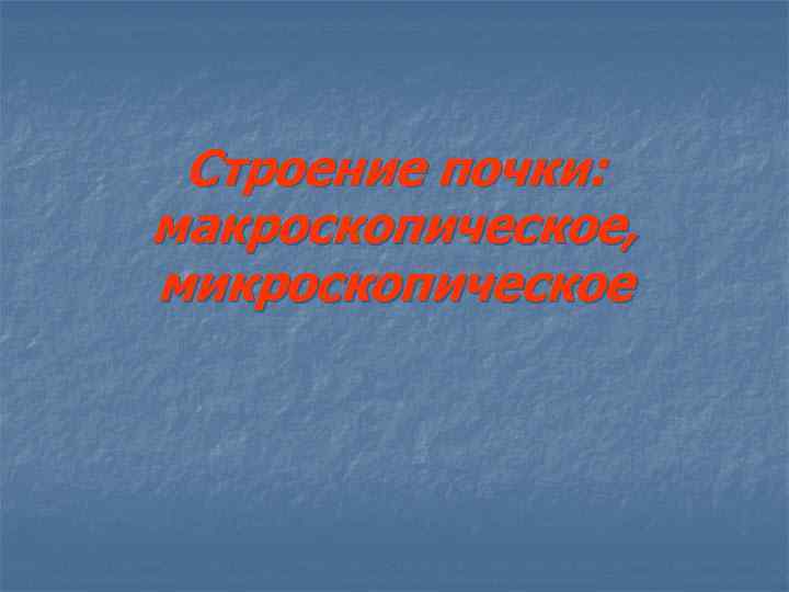 Строение почки: макроскопическое, микроскопическое 