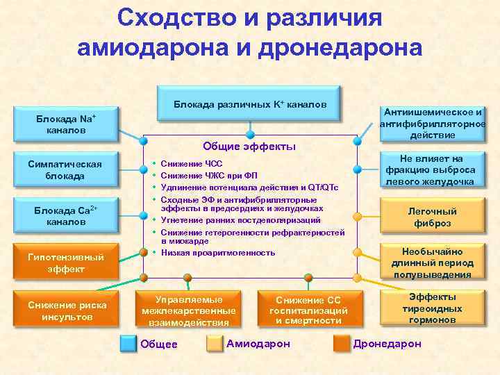 Сходство и различия амиодарона и дронедарона Блокада различных K+ каналов Блокада Na+ каналов Общие