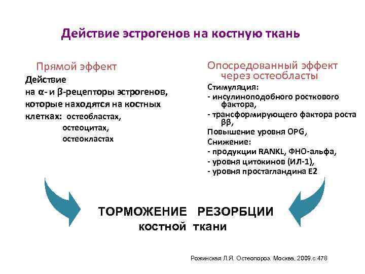 Действие эстрогенов на костную ткань Прямой эффект Действие на α- и β-рецепторы эстрогенов, которые