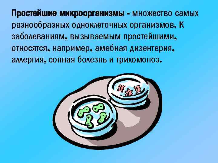 Простейшие микроорганизмы - множество самых разнообразных одноклеточных организмов. К заболеваниям, вызываемым простейшими, относятся, например,