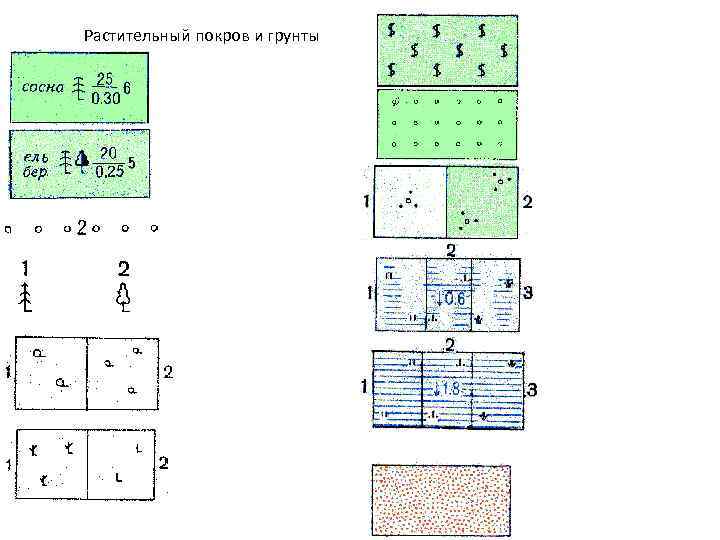Изображение растительного покрова на топографической карте