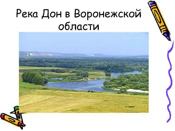 Река Дон в Воронежской области 