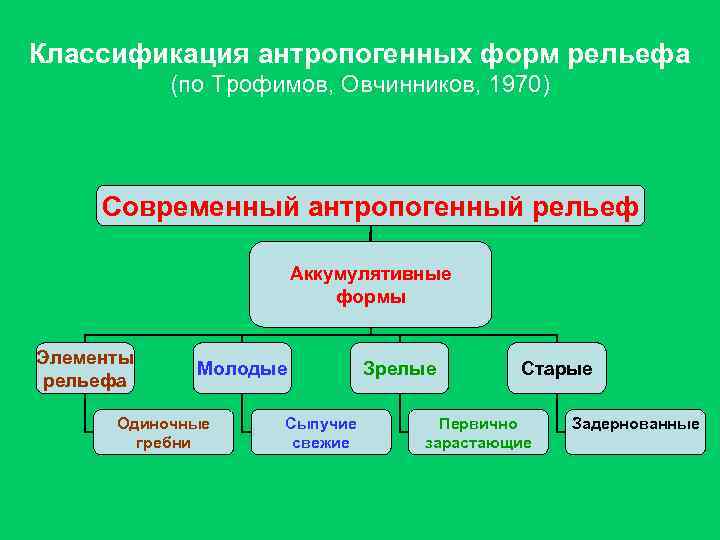 Классификация антропогенных форм рельефа (по Трофимов, Овчинников, 1970) Современный антропогенный рельеф Аккумулятивные формы Элементы