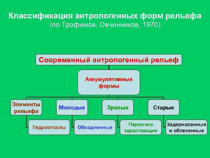 Классификация антропогенных форм рельефа (по Трофимов, Овчинников, 1970) Современный антропогенный рельеф Аккумулятивные формы Элементы