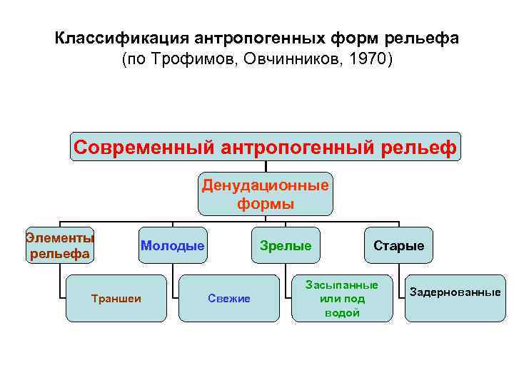 Классификация антропогенных форм рельефа (по Трофимов, Овчинников, 1970) Современный антропогенный рельеф Денудационные формы Элементы