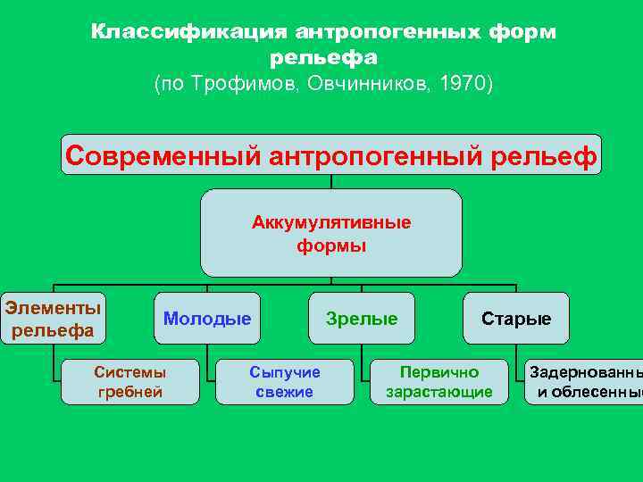 Классификация антропогенных форм рельефа (по Трофимов, Овчинников, 1970) Современный антропогенный рельеф Аккумулятивные формы Элементы