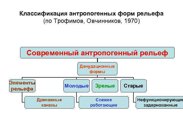 Классификация антропогенных форм рельефа (по Трофимов, Овчинников, 1970) Современный антропогенный рельеф Денудационные формы Элементы