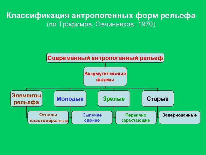 Классификация антропогенных форм рельефа (по Трофимов, Овчинников, 1970) Современный антропогенный рельеф Аккумулятивные формы Элементы