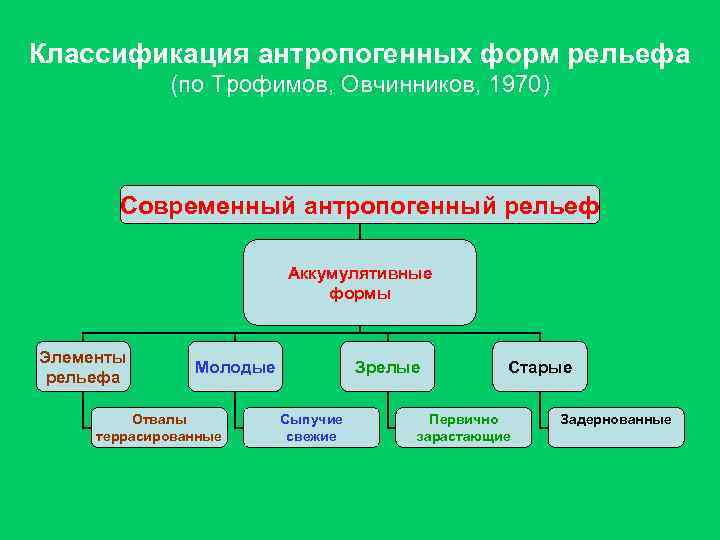 Классификация антропогенных форм рельефа (по Трофимов, Овчинников, 1970) Современный антропогенный рельеф Аккумулятивные формы Элементы