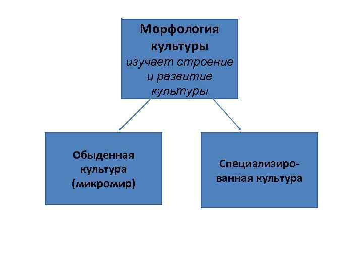 Морфология культуры изучает строение и развитие культуры Обыденная культура (микромир) Специализированная культура 