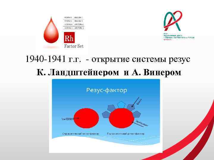 1940 -1941 г. г. - открытие системы резус К. Ландштейнером и А. Винером 