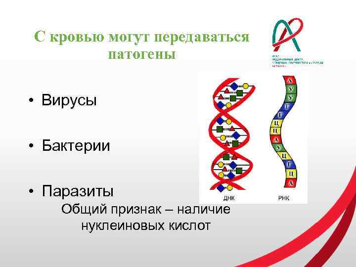 С кровью могут передаваться патогены • Вирусы • Бактерии • Паразиты Общий признак –