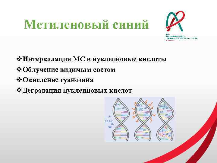 Метиленовый синий v. Интеркаляция МС в нуклеиновые кислоты v. Облучение видимым светом v. Окисление