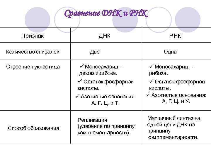 Сравнение ДНК и РНК Признак Количество спиралей Строение нуклеотида ДНК Две ü Моносахарид –