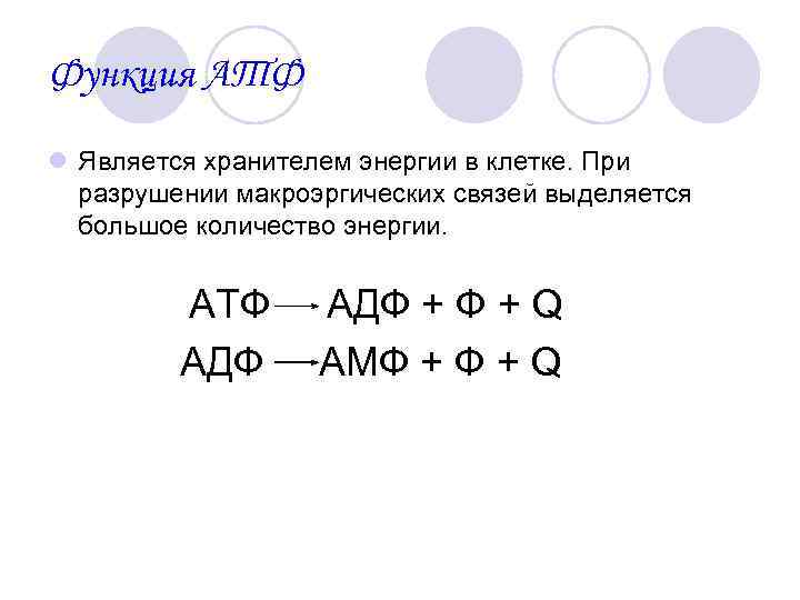 Функция АТФ l Является хранителем энергии в клетке. При разрушении макроэргических связей выделяется большое
