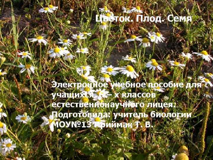 Цветок. Плод. Семя Электронное учебное пособие для учащихся 6 – х классов естественнонаучного лицея.