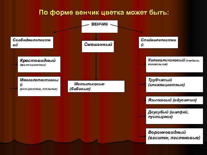 По форме венчик цветка может быть: ВЕНЧИК Свободнолепестн ой Смешанный Спайнолепестно й Колокольчиковый (ландыш,