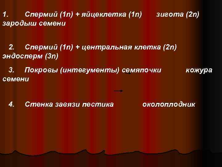 1. Спермий (1 n) + яйцеклетка (1 n) зародыш семени зигота (2 n) 2.