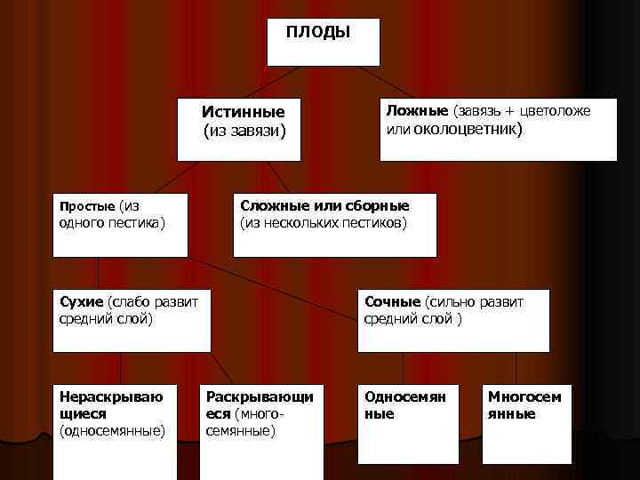 ПЛОДЫ Истинные (из завязи) Простые (из одного пестика) Сложные или сборные (из нескольких пестиков)