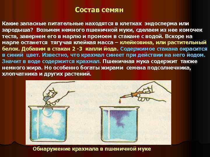 Семена растений какое вещество