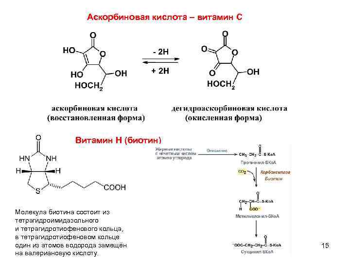 Аскорбиновая кислота – витамин С Витамин Н (биотин) Молекула биотина состоит из тетрагидроимидазольного и