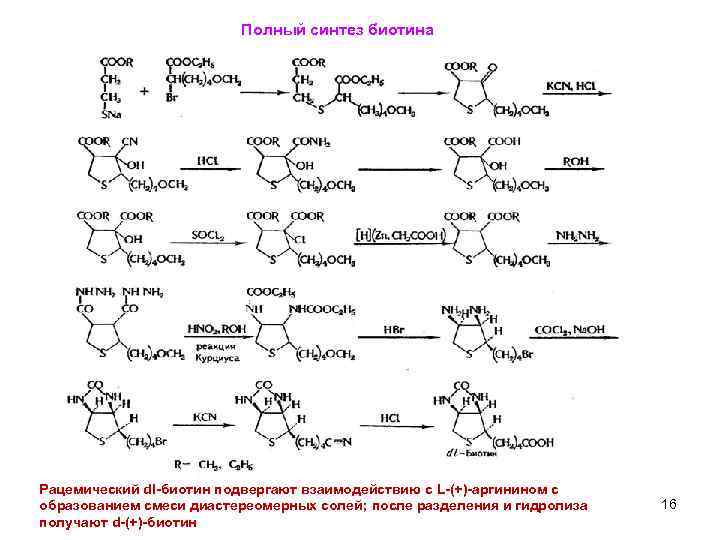 Полный синтез биотина Рацемический dl-биотин подвергают взаимодействию с L-(+)-аргинином с образованием смеси диастереомерных солей;