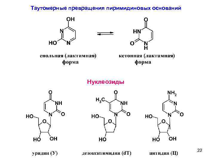 Схема таутомерных превращений