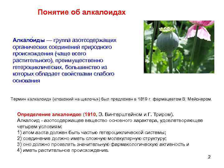 Понятие об алкалоидах Алкало иды — группа азотсодержащих органических соединений природного происхождения (чаще всего