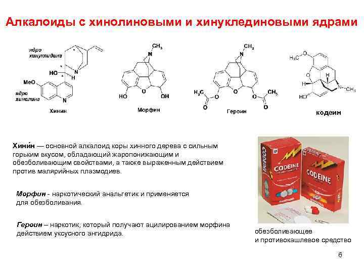 Алкалоиды с хинолиновыми и хинуклединовыми ядрами кодеин Хини н — основной алкалоид коры хинного