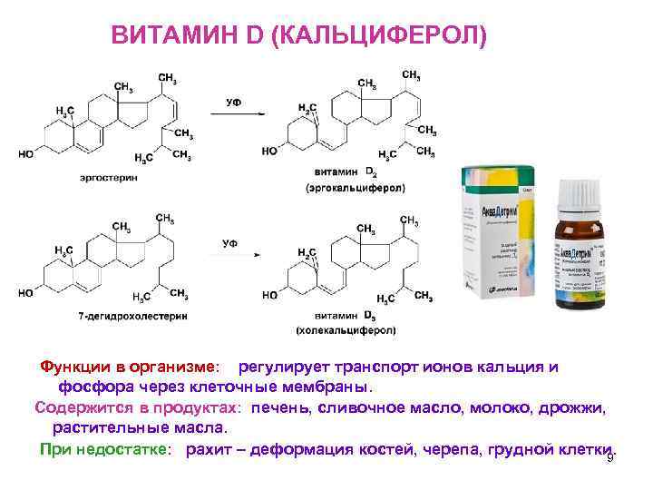 ВИТАМИН D (КАЛЬЦИФЕРОЛ) Функции в организме: регулирует транспорт ионов кальция и фосфора через клеточные