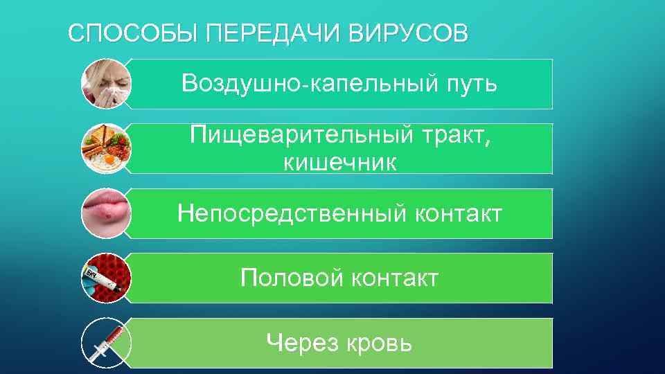 СПОСОБЫ ПЕРЕДАЧИ ВИРУСОВ Воздушно-капельный путь Пищеварительный тракт, кишечник Непосредственный контакт Половой контакт Через кровь