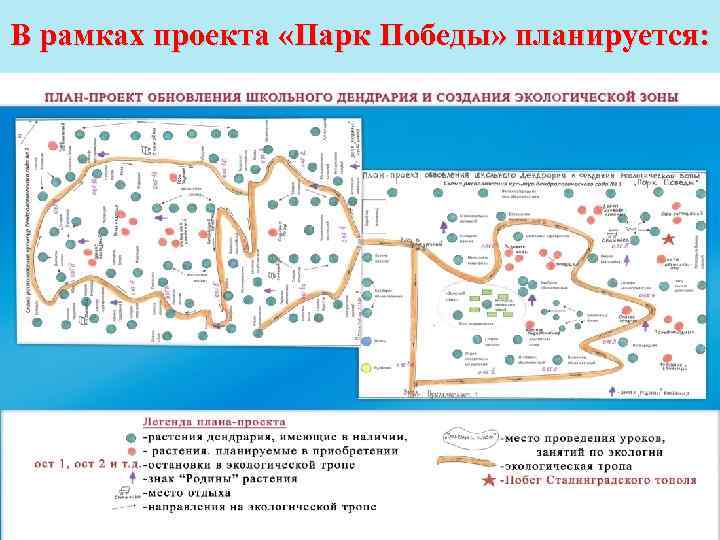 В рамках проекта «Парк Победы» планируется: 