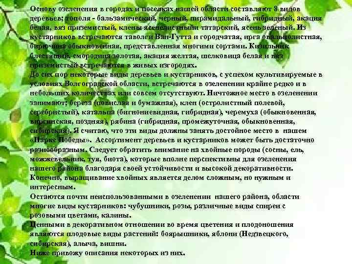 Основу озеленения в городах и поселках нашей области составляют 8 видов деревьев; тополя -