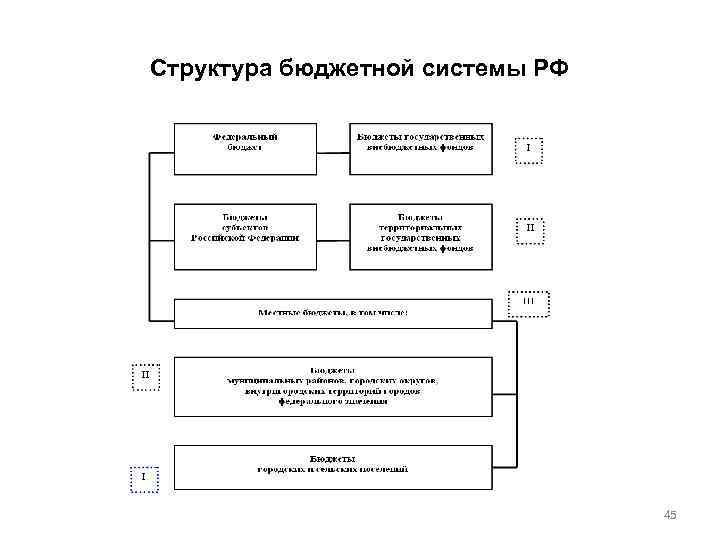 Структура бюджетной системы РФ 45 