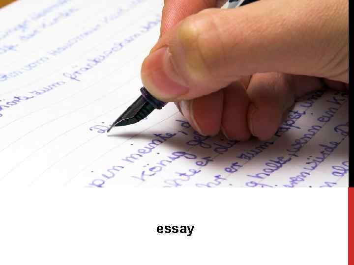 essay 