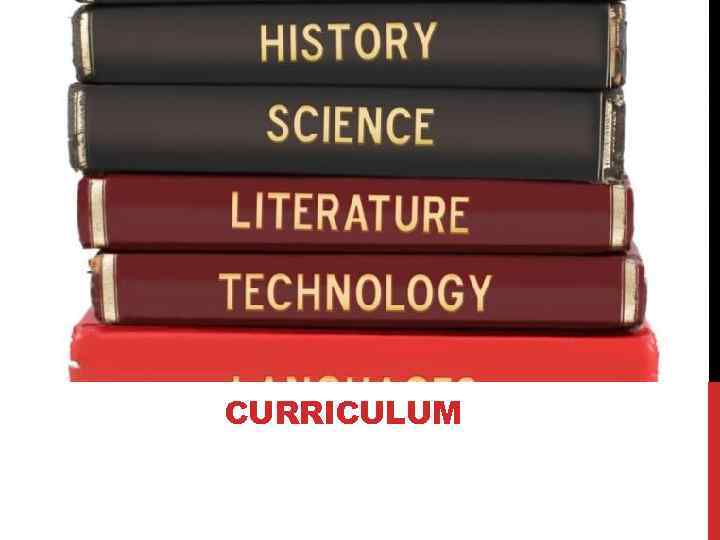 CURRICULUM 