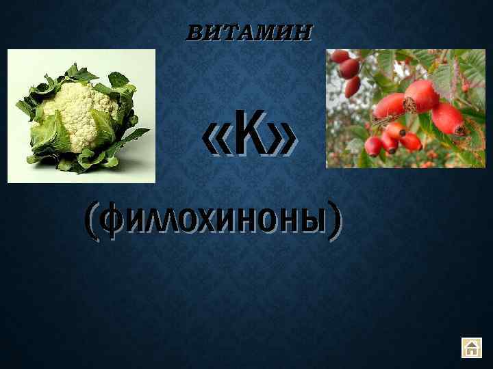 ВИТАМИН «К » (филлохиноны) 