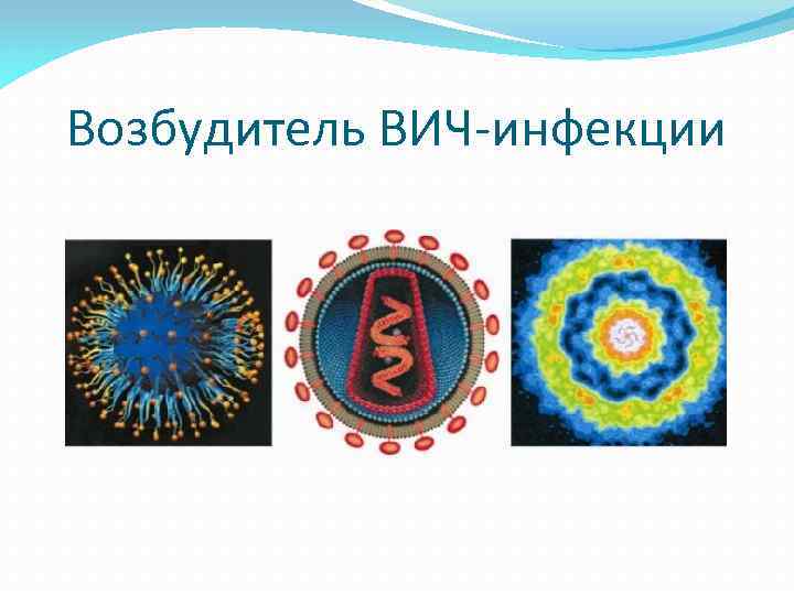 Возбудитель ВИЧ-инфекции 