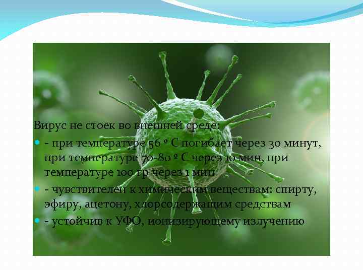 Вирус не стоек во внешней среде: - при температуре 56 º С погибает через