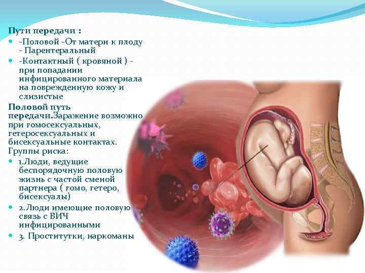 Пути передачи : -Половой -От матери к плоду - Парентеральный -Контактный ( кровяной )