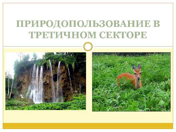 ПРИРОДОПОЛЬЗОВАНИЕ В ТРЕТИЧНОМ СЕКТОРЕ 