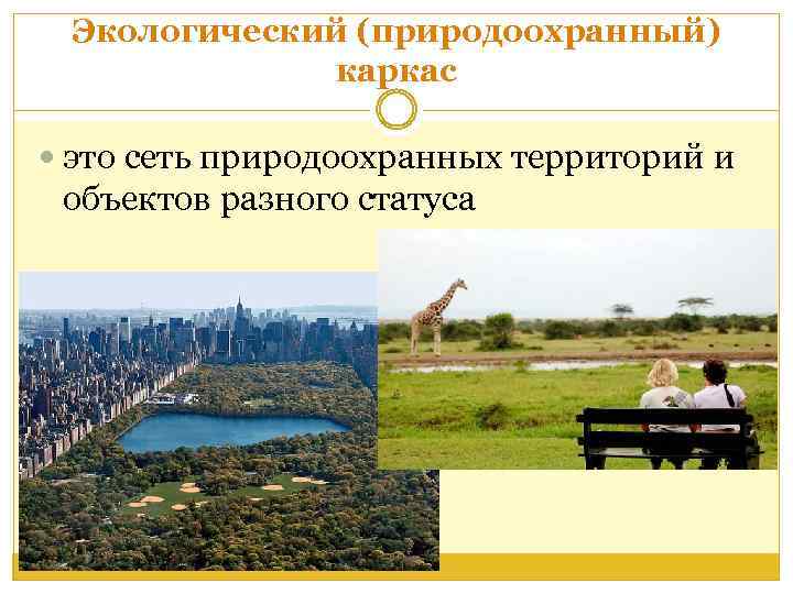 Экологический (природоохранный) каркас это сеть природоохранных территорий и объектов разного статуса 