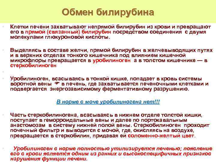 Обмен билирубина • Клетки печени захватывают непрямой билирубин из крови и превращают его в