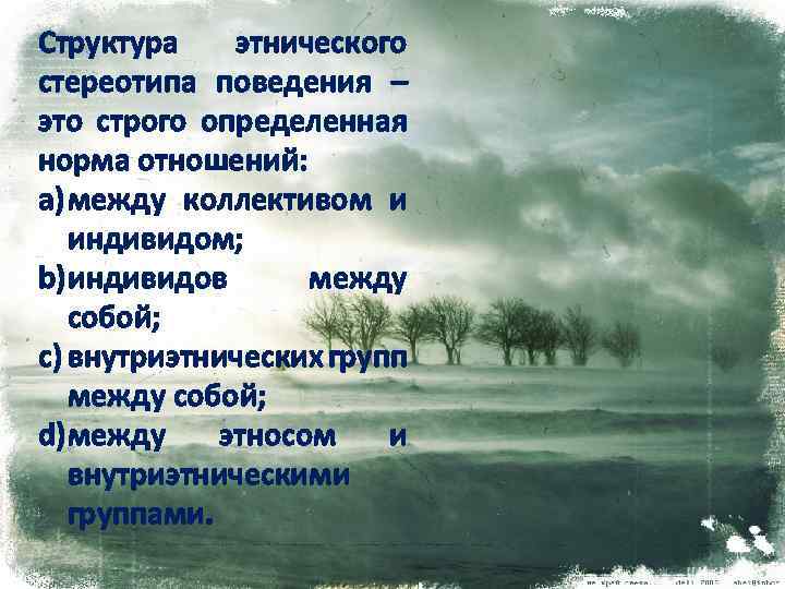 Структура этнического стереотипа поведения – это строго определенная норма отношений: a) между коллективом и