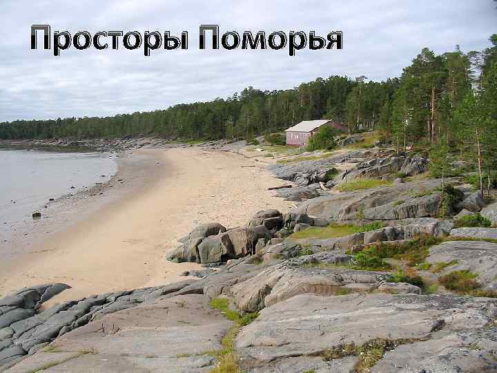 Просторы Поморья 