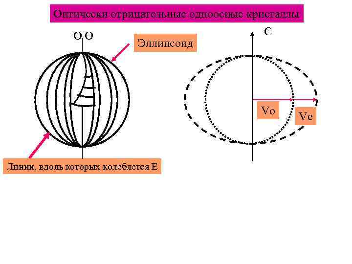 Оптически отрицательные одноосные кристаллы С ОО Эллипсоид Vo Линии, вдоль которых колеблется Е Ve
