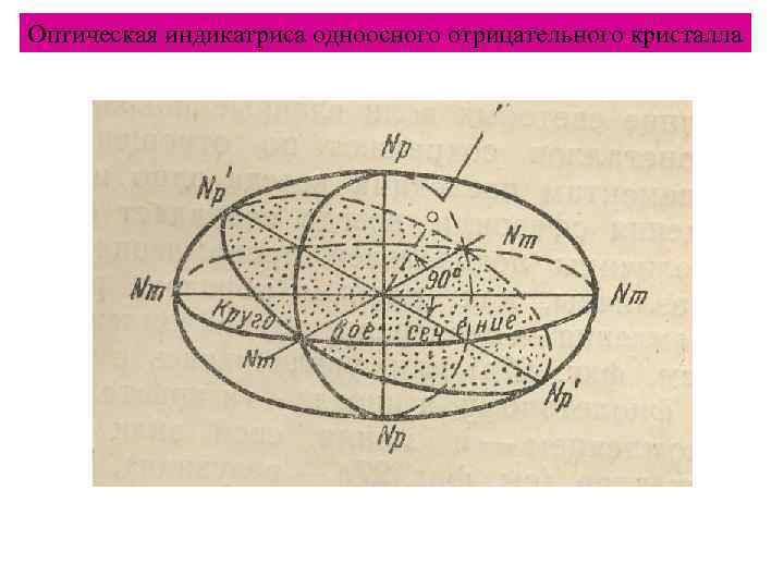 Оптическая индикатриса одноосного отрицательного кристалла 