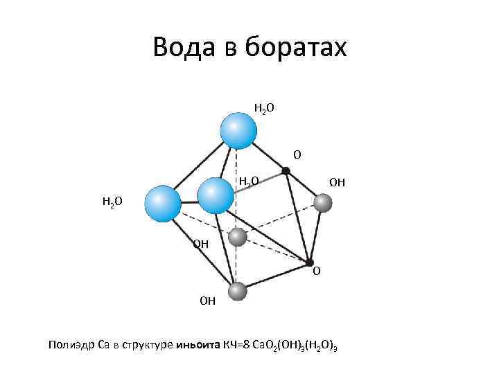 Вода в боратах H 2 O OH Полиэдр Ca в структуре иньоита КЧ=8 Ca.