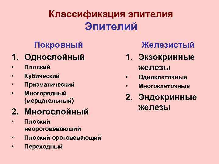 Классификация эпителия Эпителий Покровный 1. Однослойный • • Плоский Кубический Призматический Многорядный (мерцательный) 2.